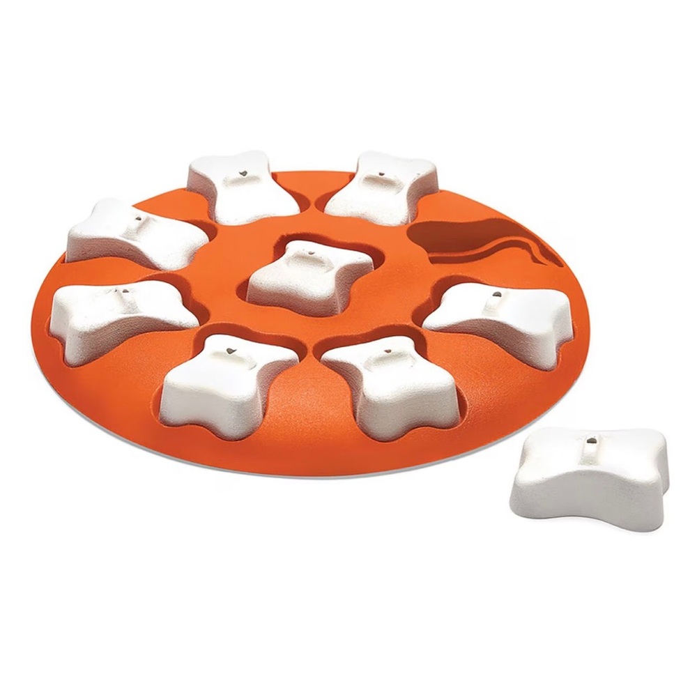 Nina Ottosson by Outward Hound Puppy Smart interactive puzzle Dog Toy